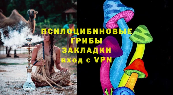 дурь Алексин