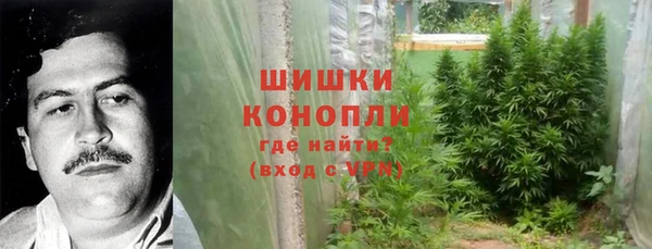 амф Арсеньев