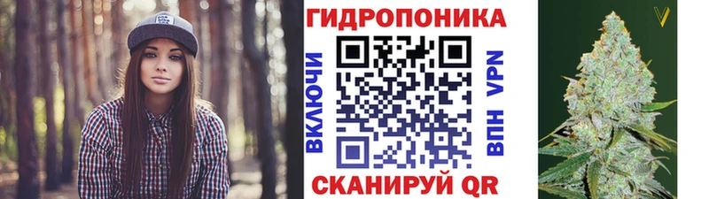 Марихуана планчик Багратионовск